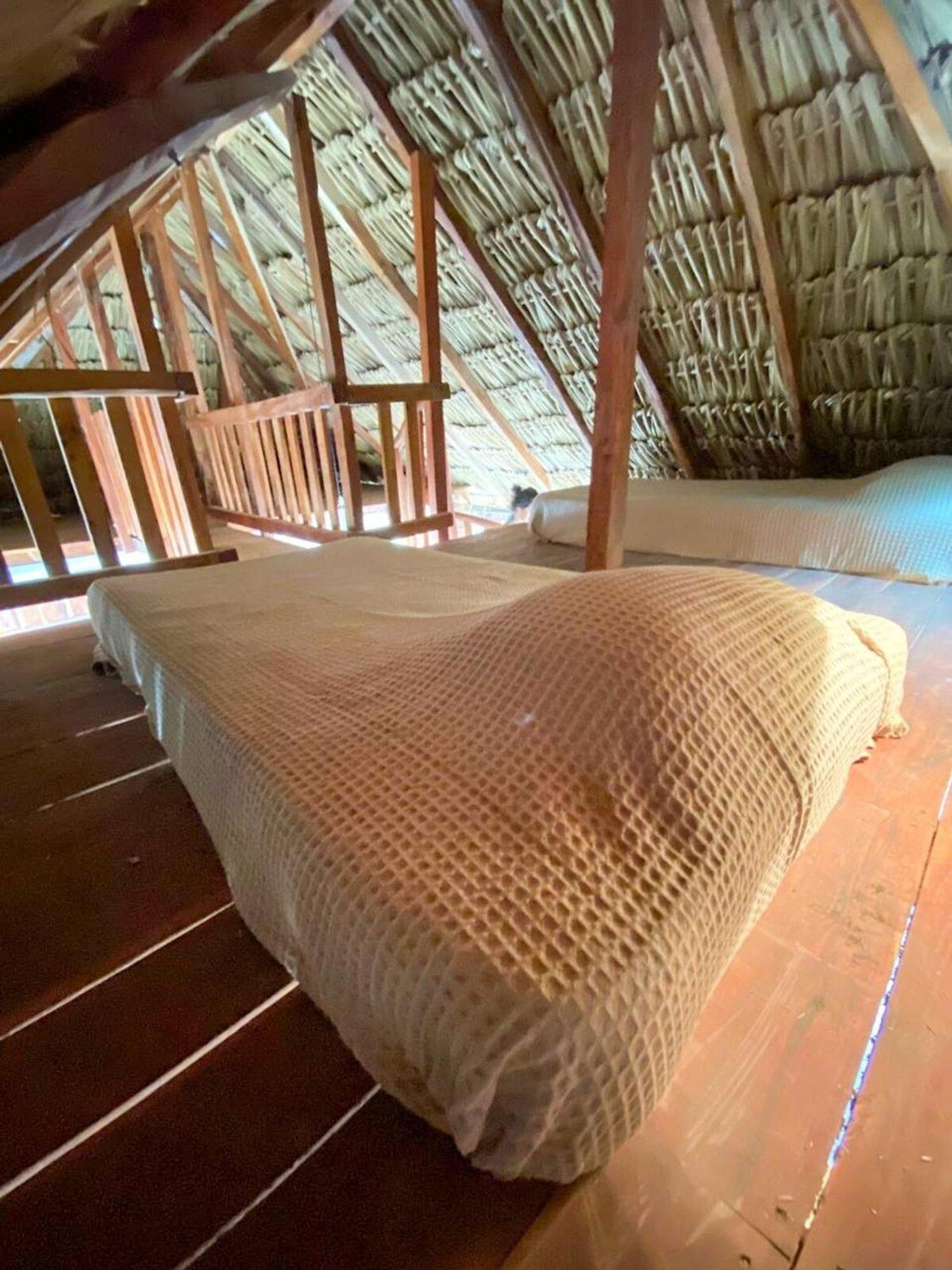 Casa Tropicana El Cuyo Eksteriør billede